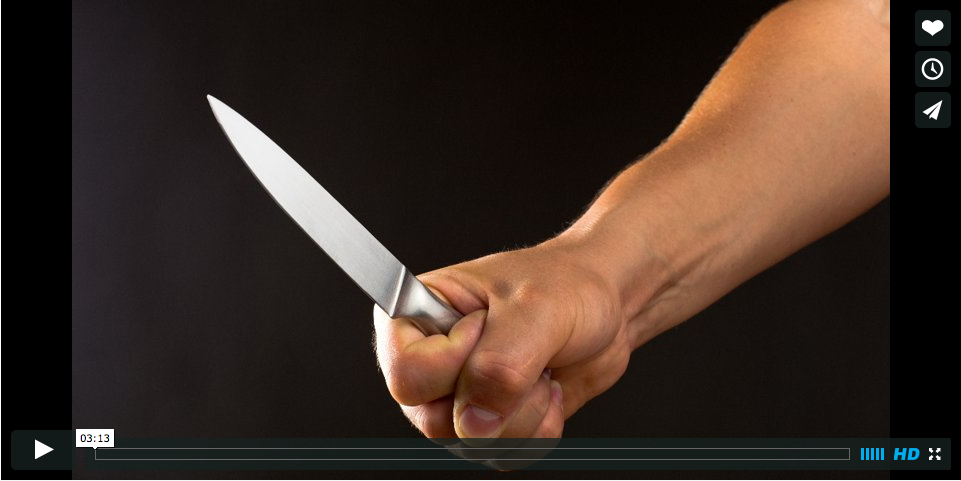 Empty Hand vs Knife